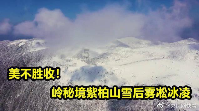 女子报到前收拾行李，发现通知书被狗狗咬碎！家里有宠物如何保存贵重物品？游戏画面