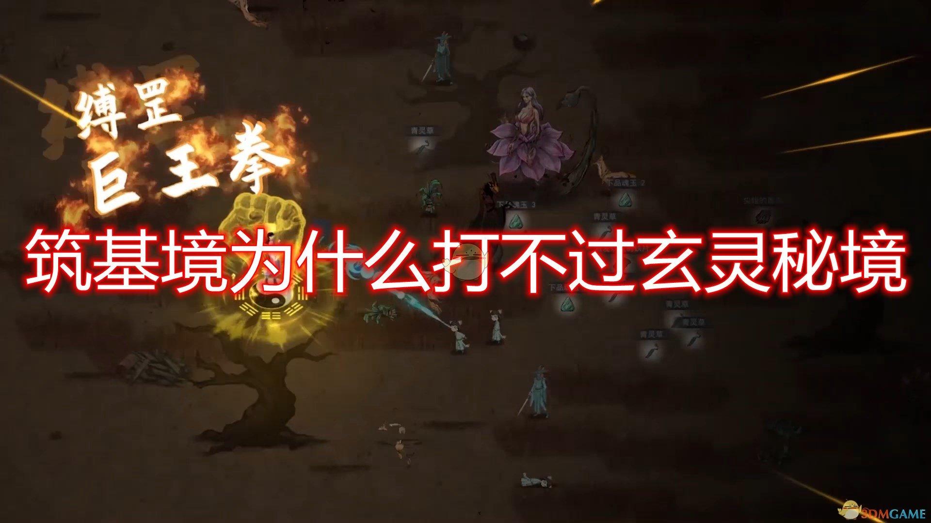 救援袋鼬