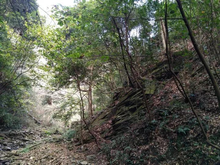 陈斐｜柳诒徵史学的“旧”与“新”——《史学概论讲义》叙论