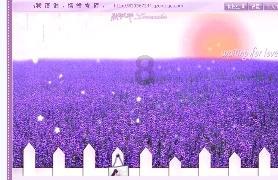 僵尸2048