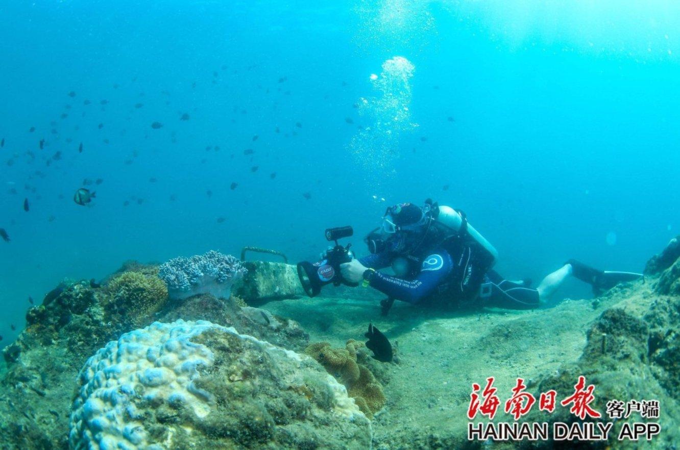 球球大作战下载最新版