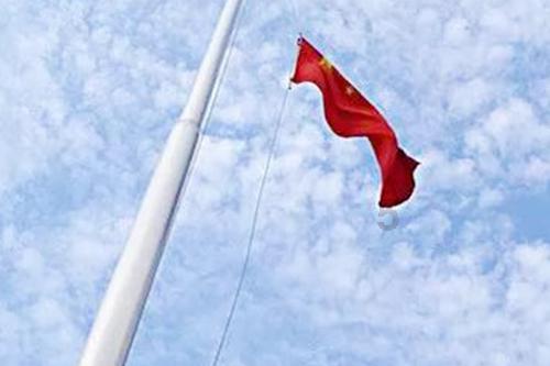 南京人买猫活体活物都来这里，想知道一只纯种猫多少钱？
