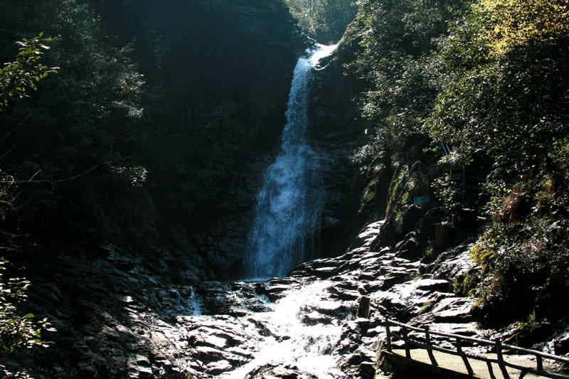 游客受伤被困深山 林州公安紧急救援