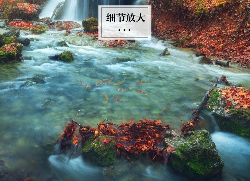 网购还能信么？游戏画面