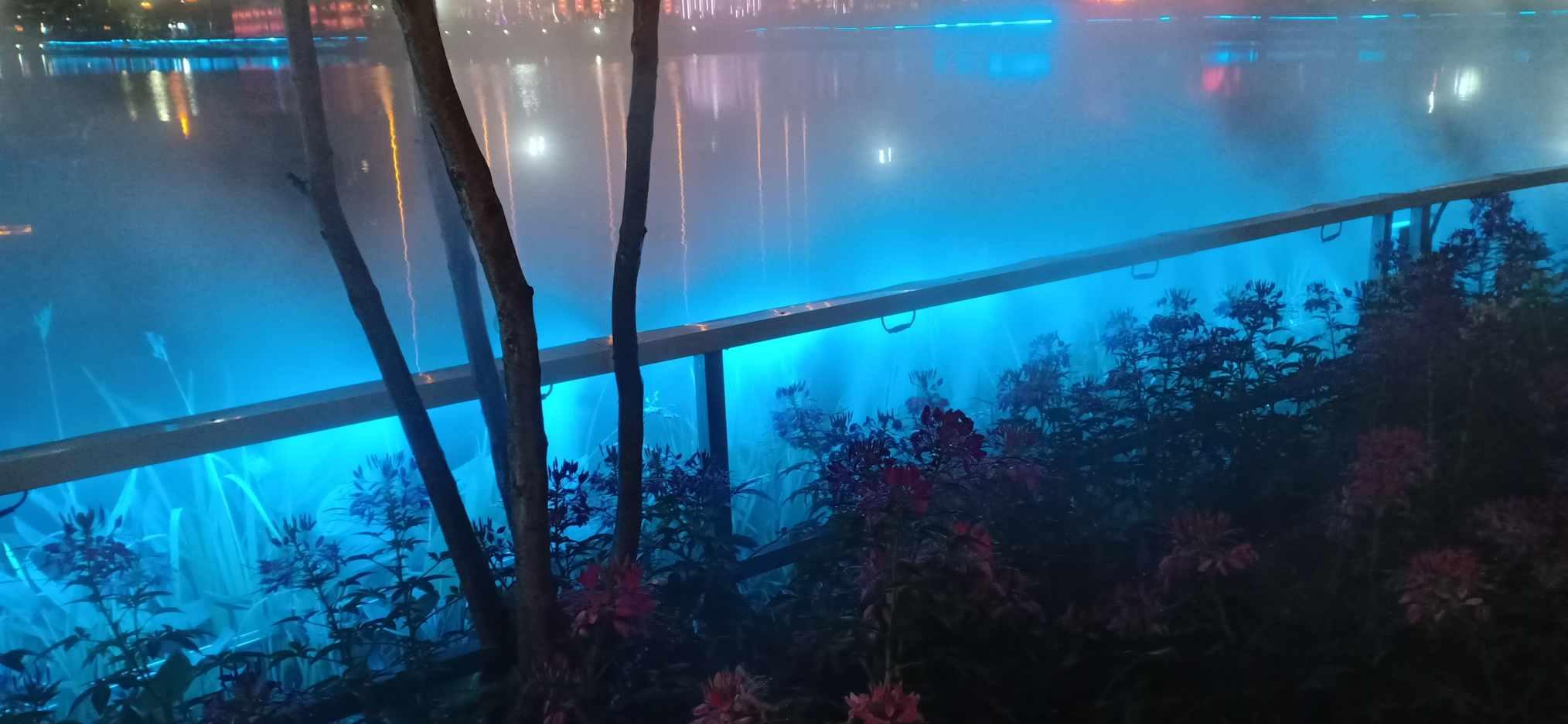 救援蓝色小兔